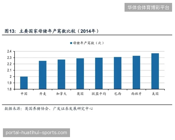 巴西所在组竞争力过于平均被认为增加变量：一个数据驱动的解读与机会指南